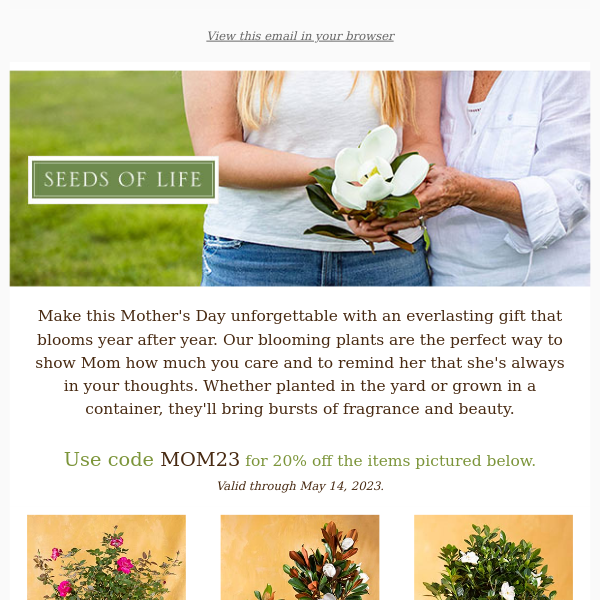 Everlasting Gifts for Mom + 20% Off