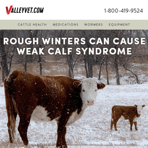 Help Prevent Weak Calf Syndrome