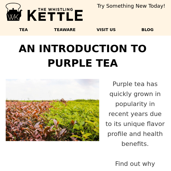 Learn the Health Secrets of PURPLE Tea! 💜☕