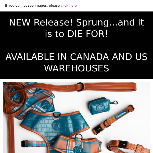 NEW Release! Sprung...and it is to DIE FOR! 😍