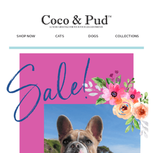 🏷️SUPER SALE 30% OFF 🐶