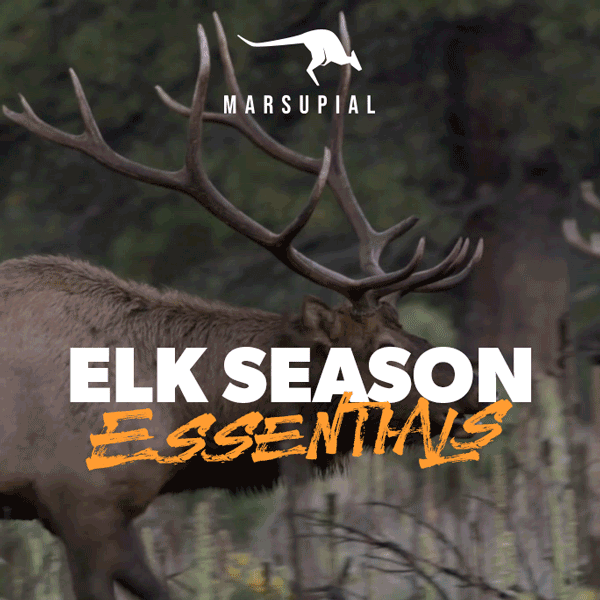 September's Calling: Gear Up for Elk Hunting!