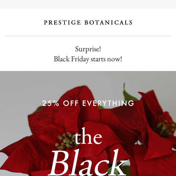 25% Off & Early Black Friday? Yes Please!
