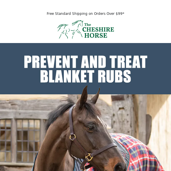Protect Your Horse From Painful Blanket Rubs