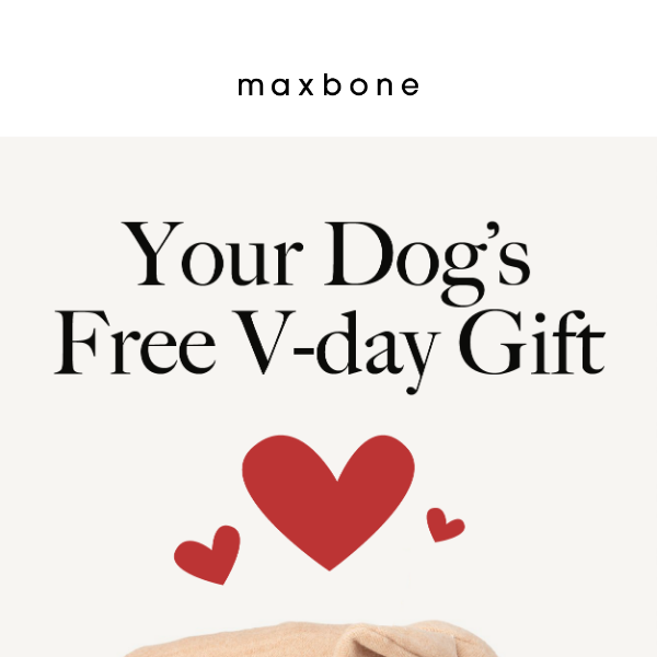Open For Your Dog's Free V-day Gift