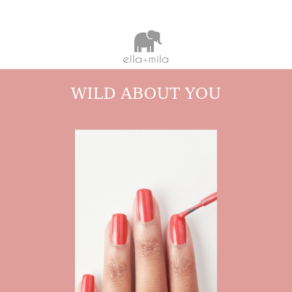 Introducing: Wild about you