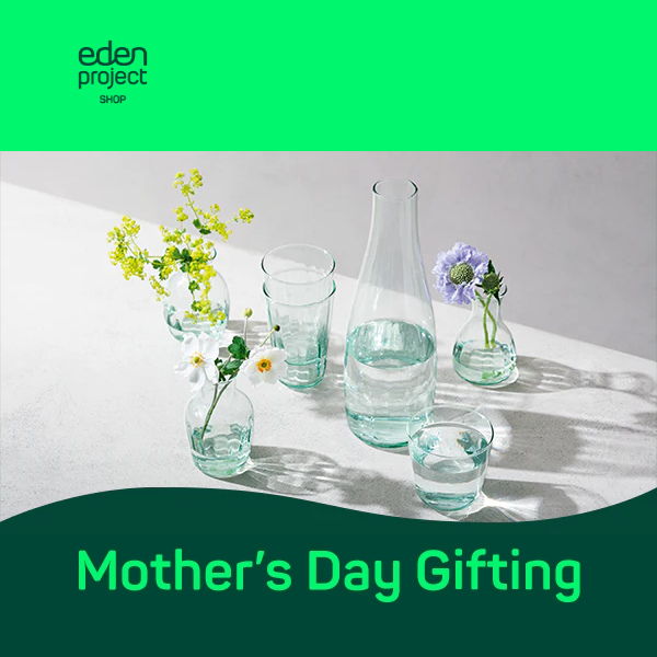 Discover the perfect gift for Mother's Day 💐