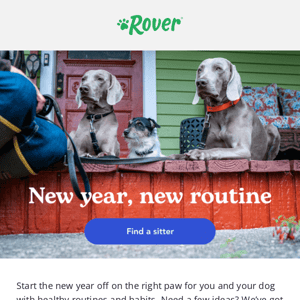 Start the new year right with your dog