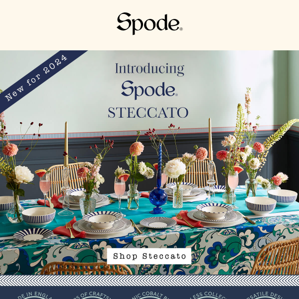 NEW | Spode Steccato