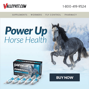 The power of healthy horses