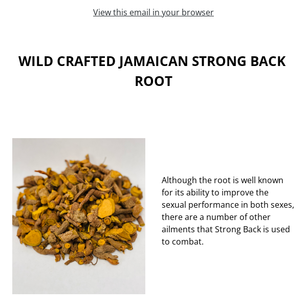 WILDCRAFTED JAMAICAN STRONG BACK ROOT!