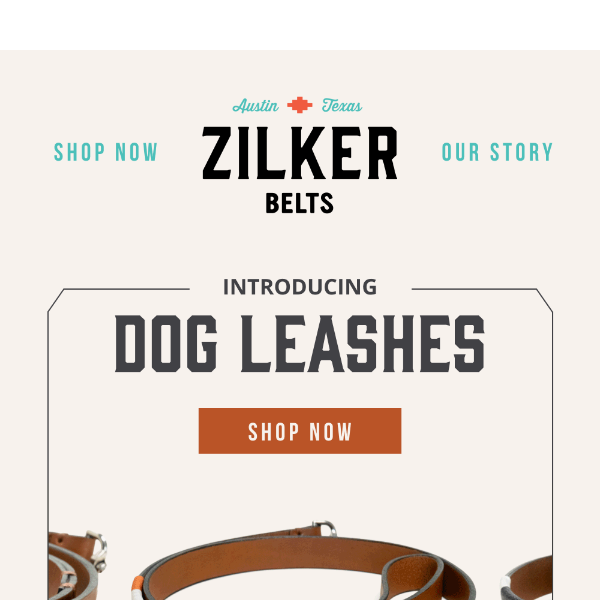 NEW: Dog Leashes to Match Your Favorite Collars