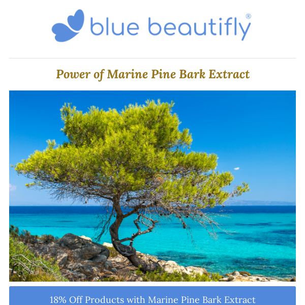 Power of Marine Pine Bark Extract🌳