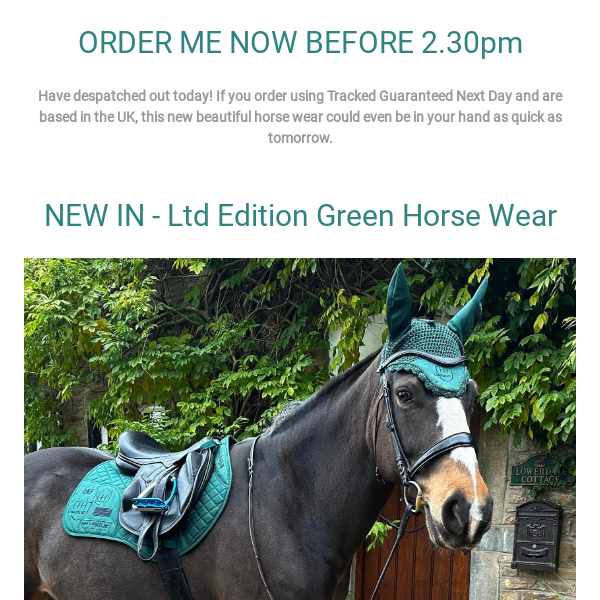 🌲NEW IN Limited Edition Green AVAILABLE NOW on same day despatch....