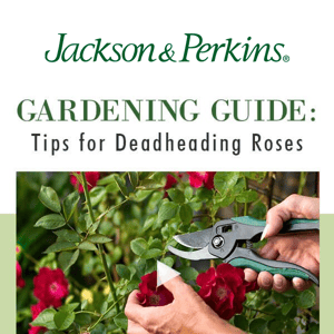 ✂️ Deadheading: Dos, Don'ts and Terminology