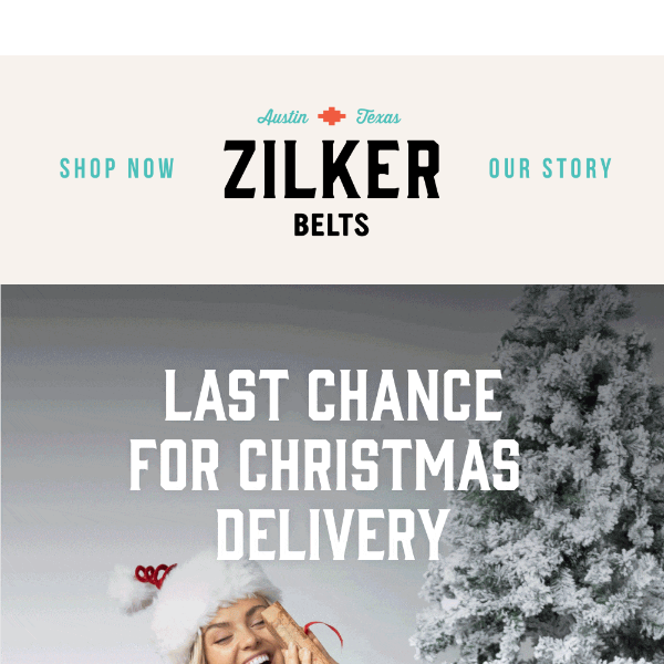 ORDER TODAY for delivery by Christmas