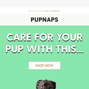 Take good care of your pup with this