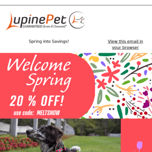 🌷Welcome Spring Sale