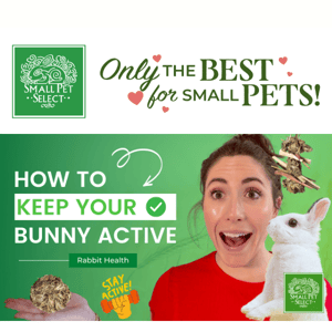 How to Keep Your Bunny Healthy & Active + GIVEAWAY!