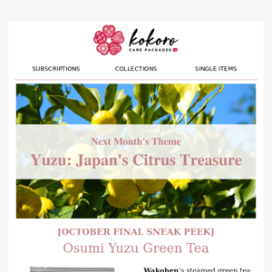 🍵[FINAL SNEAK PEEK]  ŌSUMI YUZU GREEN TEA