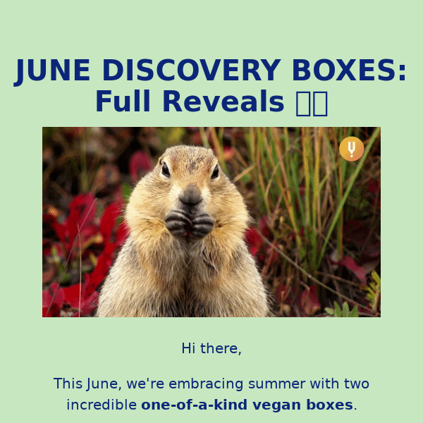 June Vegan Boxes: Full Reveals 🌞