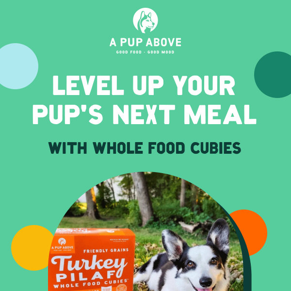 Upgrade your 🐶’s meal with a crunch