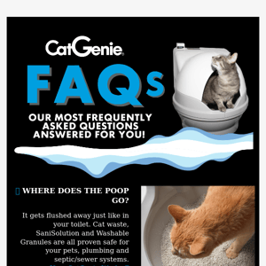 🤔 Have questions about CatGenie?