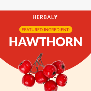 Organic Hawthorn: A Natural Way to Support Your Cardiovascular Health