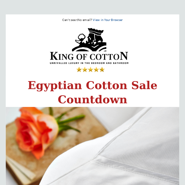 Last Chance: 20% Off Egyptian Cotton