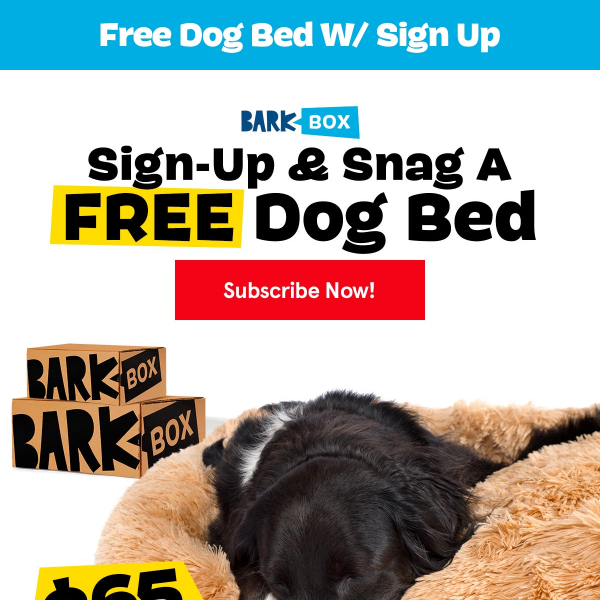 Introducing: Our NEW Cuddler Bed (Normally $65 But FREE For BarkBox!)