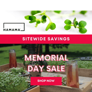 🌱 Memorial Day Sale Starts now! 🇺🇸