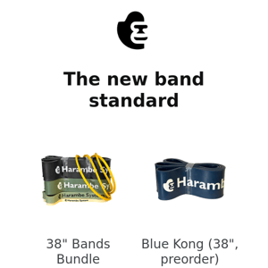 38" Bands Preorder Now Open!