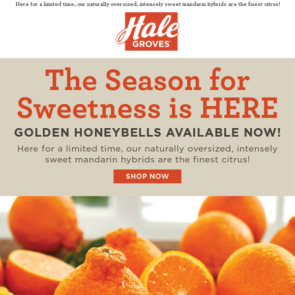 The Season for Sweetness is HERE - Golden Honeybells Available Now!