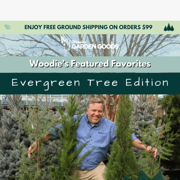 Woodie's Featured Favorites: Evergreen Tree Edition🌲🌲🌲