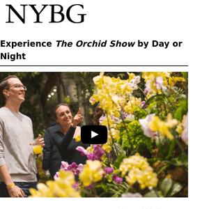 Experience The Orchid Show by Day or Night ☀️🌙