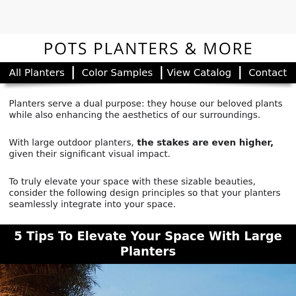 How to elevate your garden with large planters