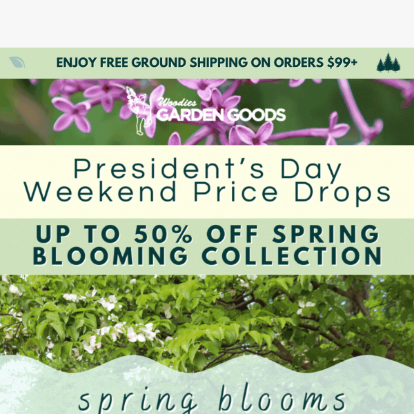 President's Day Weekend Price Drops!🌸