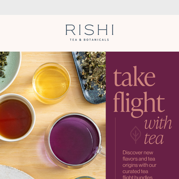 Take Flight with Tea ✈️