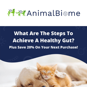 Help Your Pet Achieve A Healthy Gut & Save 20%!🐾