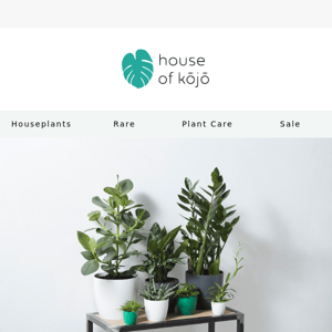 🎁 Gifts for plant lovers