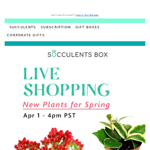 This Friday! See our new houseplants on this LiveShopping event