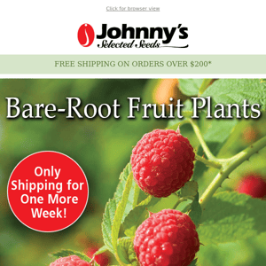 Last Call to Order Fruit Plants!