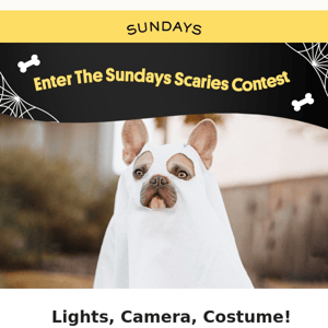 Enter to Win The Sundays Scaries Costume Contest