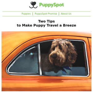 Two Tips to Make Puppy Travel a Breeze