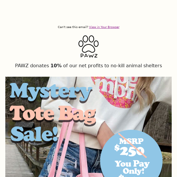 Hours Left Labor Day $77 Mystery Tote