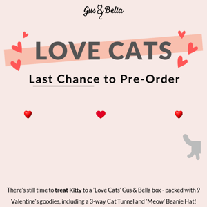 💘 Get 'LOVE CATS' box by Valentine's Day