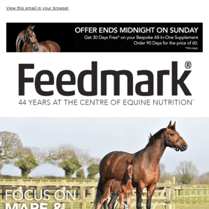 🔎 Focus On: Mare and Youngstock Supplement