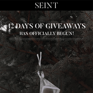 12 Days of Giveaways!