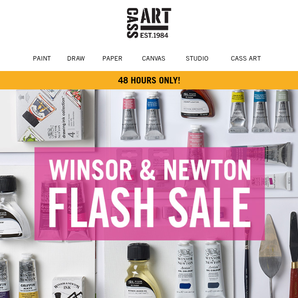 Winsor & Newton Flash Sale!