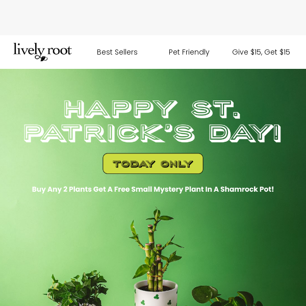 Buy 2 Plants, Get A Free Mystery Plant In A Shamrock Pot 🍀🌈